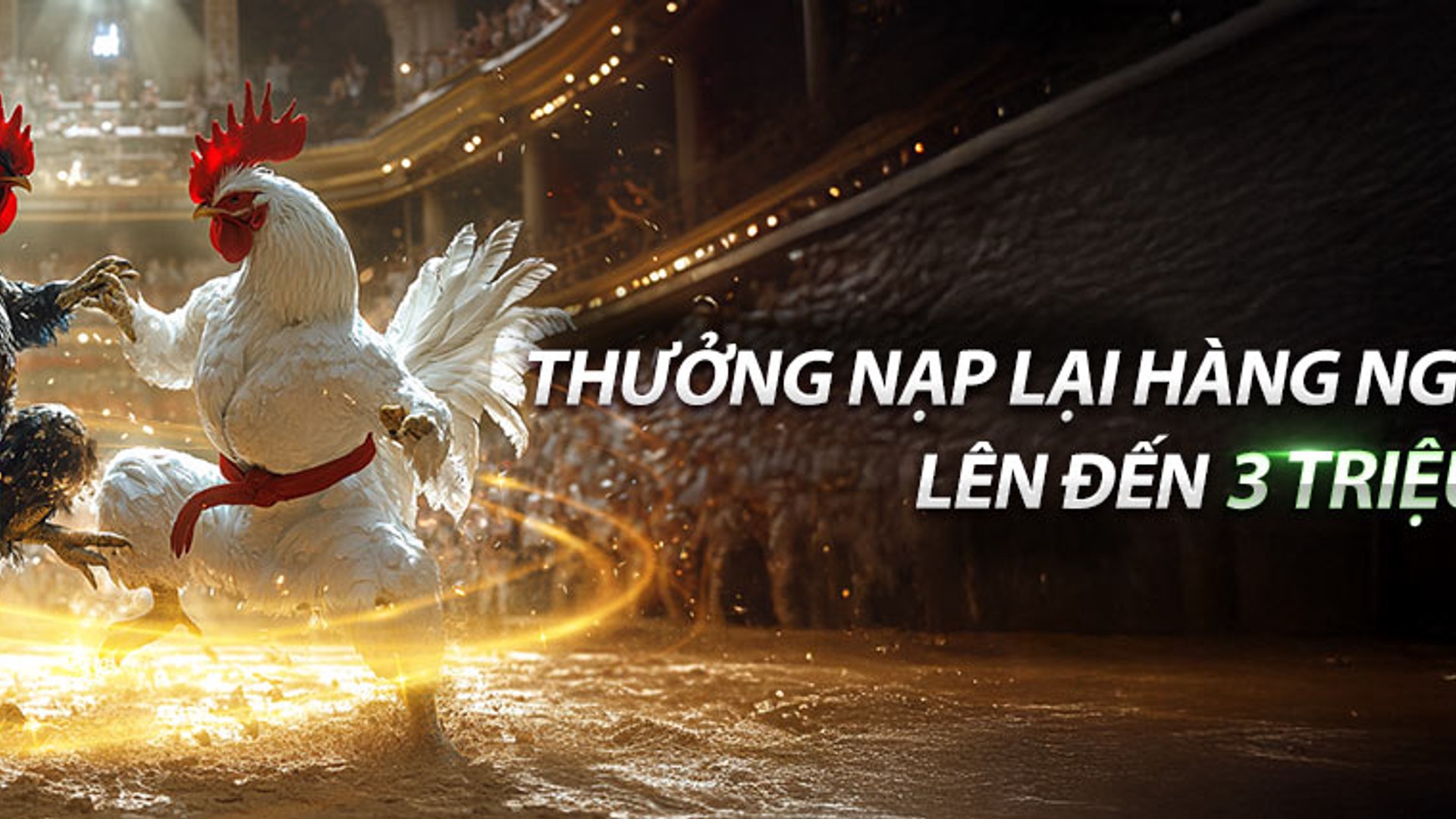 Đá gà trực tiếp GACAM67