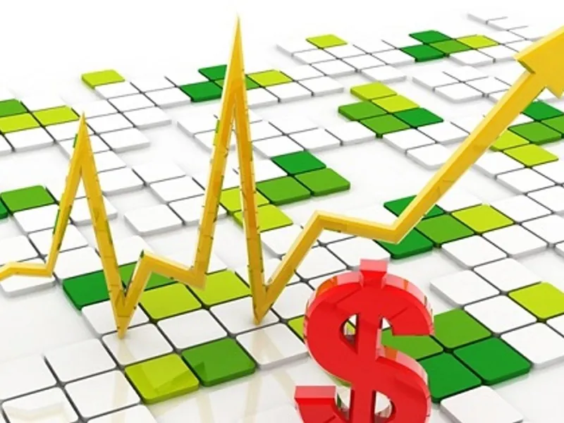 Hình ảnh gà chọi khỏe mạnh chuẩn bị cho trận đấu